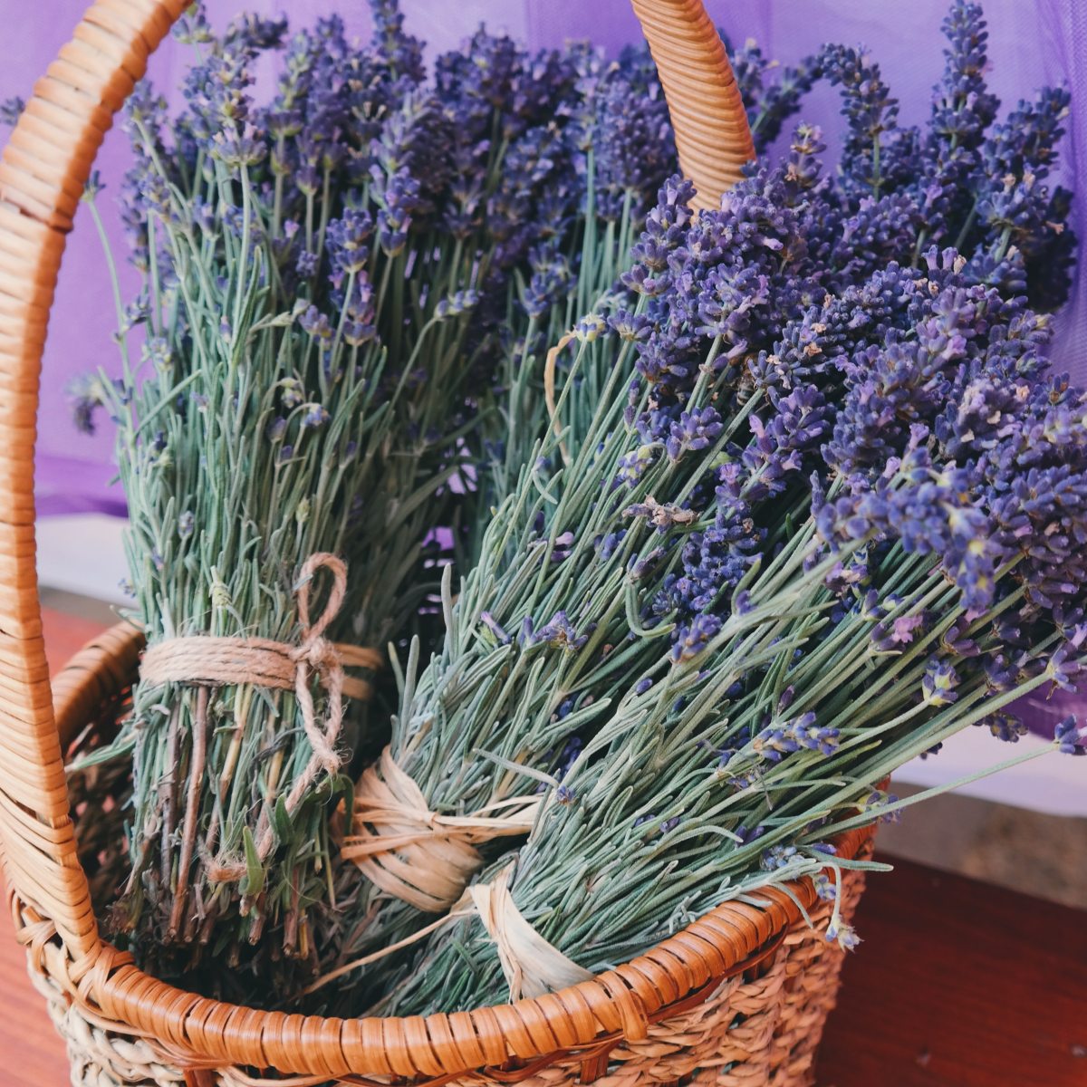 Benefits of Lavenders﻿